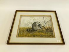 AN ORIGINAL WATERCOLOUR "RACOON" ON THE LOOKOUT BEARING SIGNATURE V.P. SHARPE - W 42CM X H 32CM.