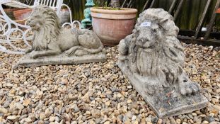 A PAIR OF CONCRETE LION STATUES, W 59CM X H 40CM.