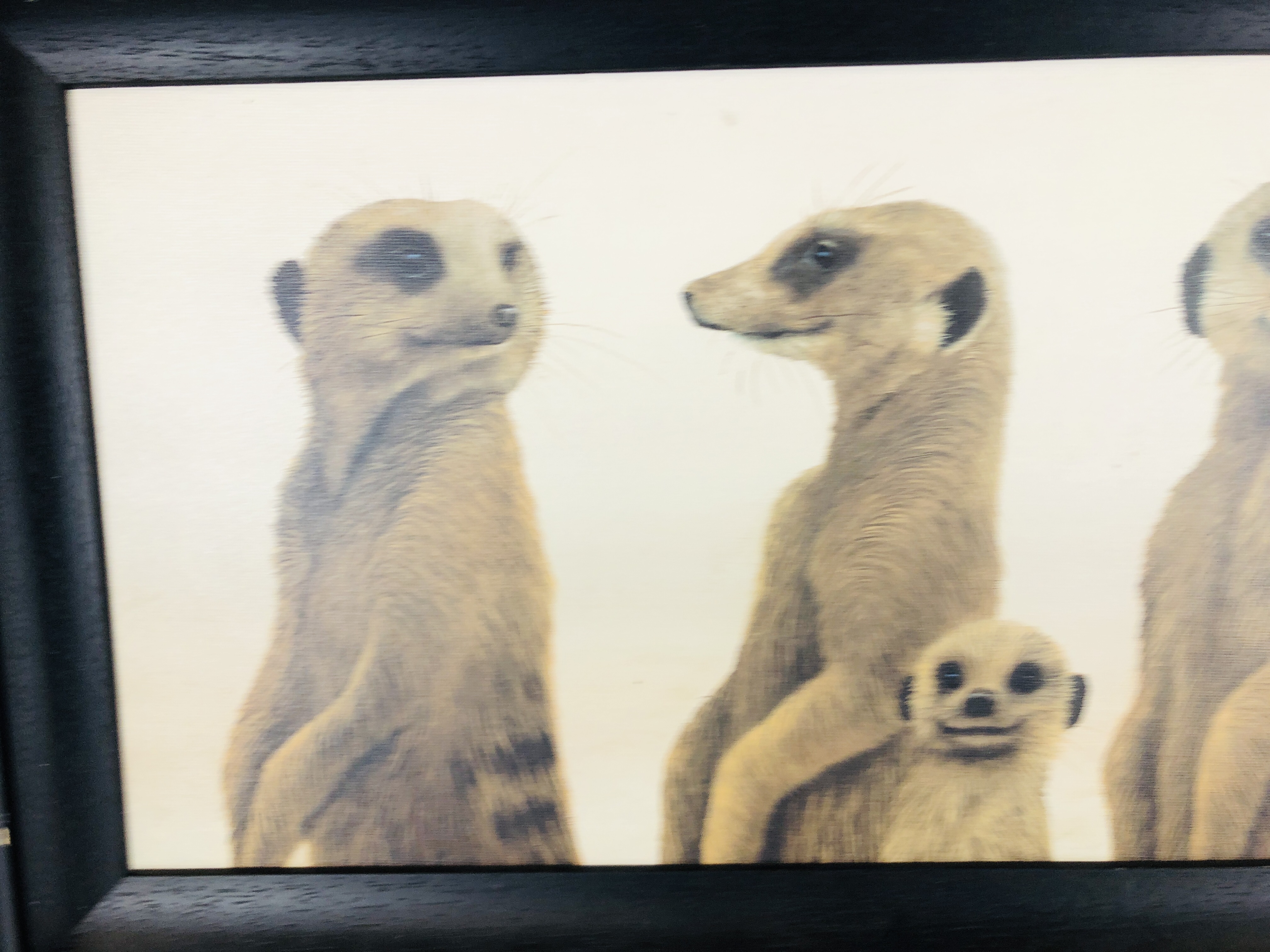 A FRAMED LIMITED EDITION 30/195 CANVAS PRINT TITLED "FAMILY PORTRAIT" MEERKATS BY JONATHAN TRUSS 26 - Image 2 of 5