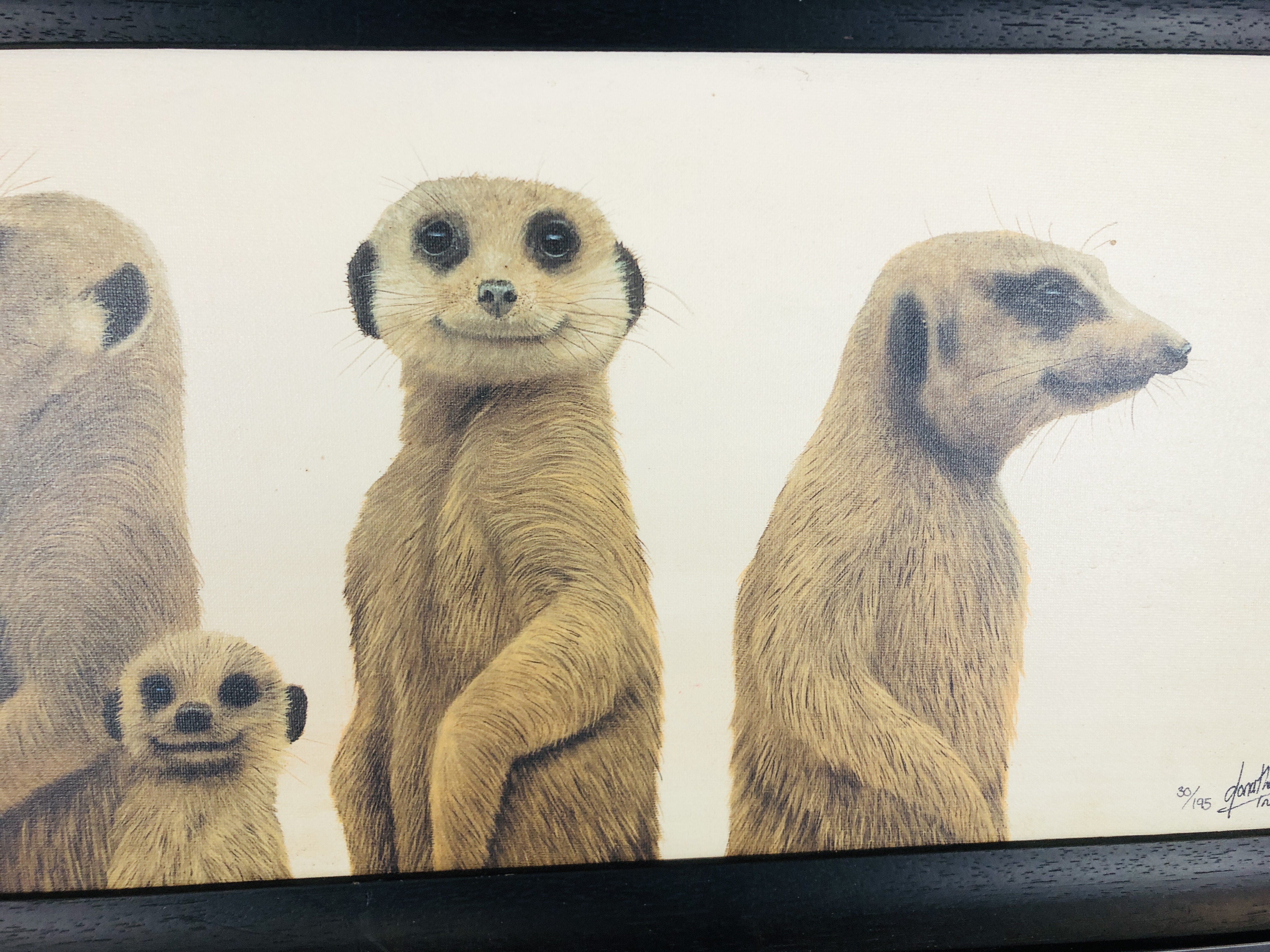 A FRAMED LIMITED EDITION 30/195 CANVAS PRINT TITLED "FAMILY PORTRAIT" MEERKATS BY JONATHAN TRUSS 26 - Image 3 of 5