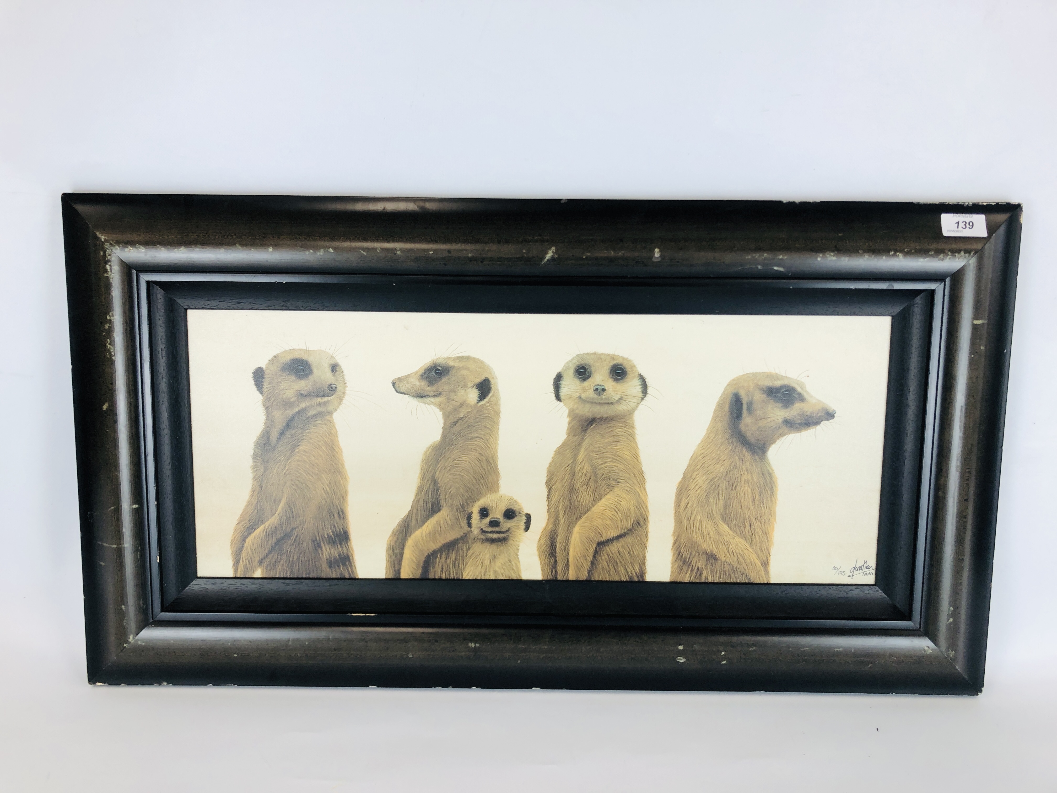 A FRAMED LIMITED EDITION 30/195 CANVAS PRINT TITLED "FAMILY PORTRAIT" MEERKATS BY JONATHAN TRUSS 26