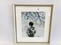 JAMES WILLIAMSON BELL 1977, ORIGINAL ART WORK DEPICTING A PINTAIL DUCK, 32 X 27CM.