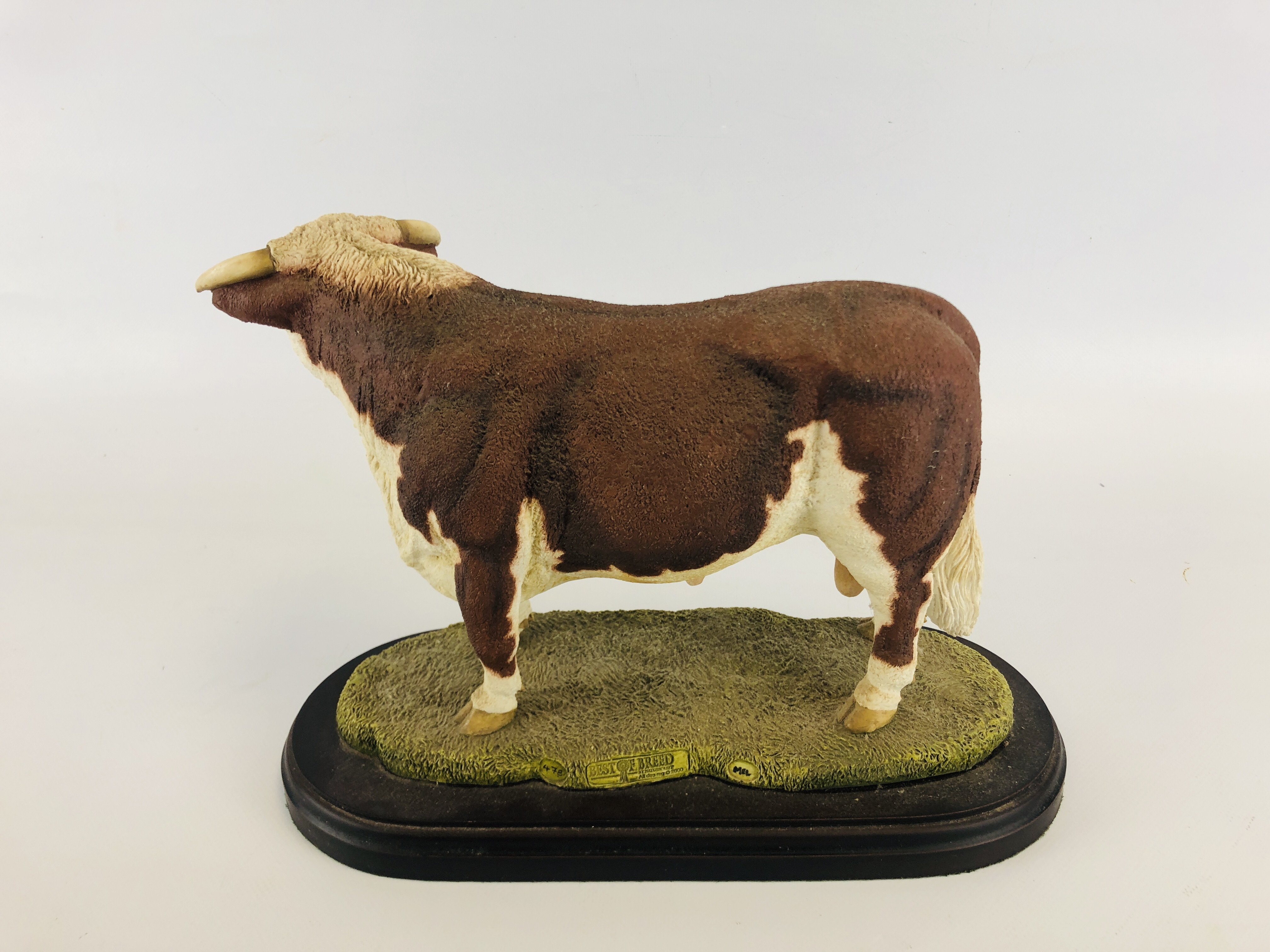 "BEST OF BREED" BY NATURECRAFT HAND PAINTED STUDY OF "HEREFORD BULL" L 30CM X H 22CM. - Image 4 of 6