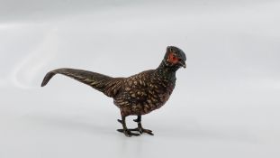 A COLD PAINTED BRONZE STUDY OF A PHEASANT - NO VISIBLE SIGNATURE.