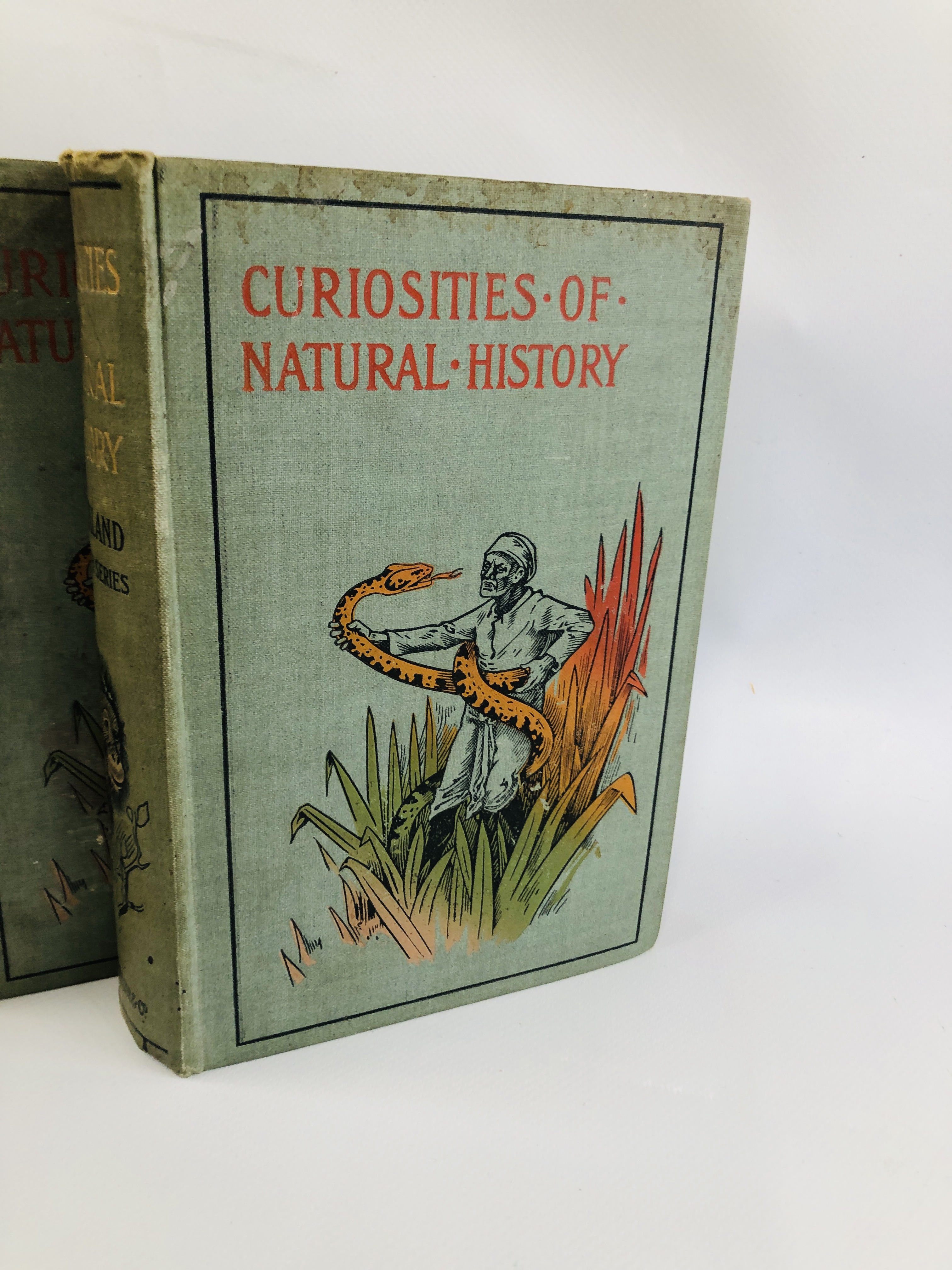 CURIOSITIES OF NATURAL HISTORY (FIRST, SECOND, THIRD AND FOURTH SERIES) BY F.T. BUCKLAND. - Image 2 of 11