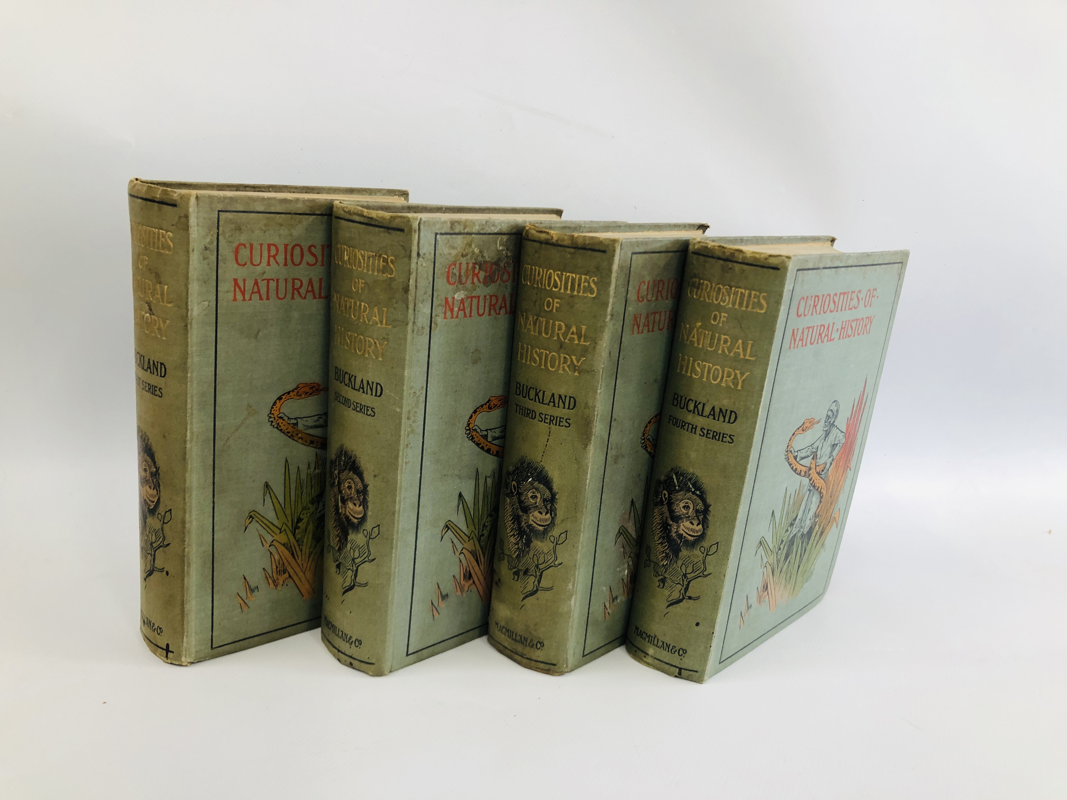 CURIOSITIES OF NATURAL HISTORY (FIRST, SECOND, THIRD AND FOURTH SERIES) BY F.T. BUCKLAND.