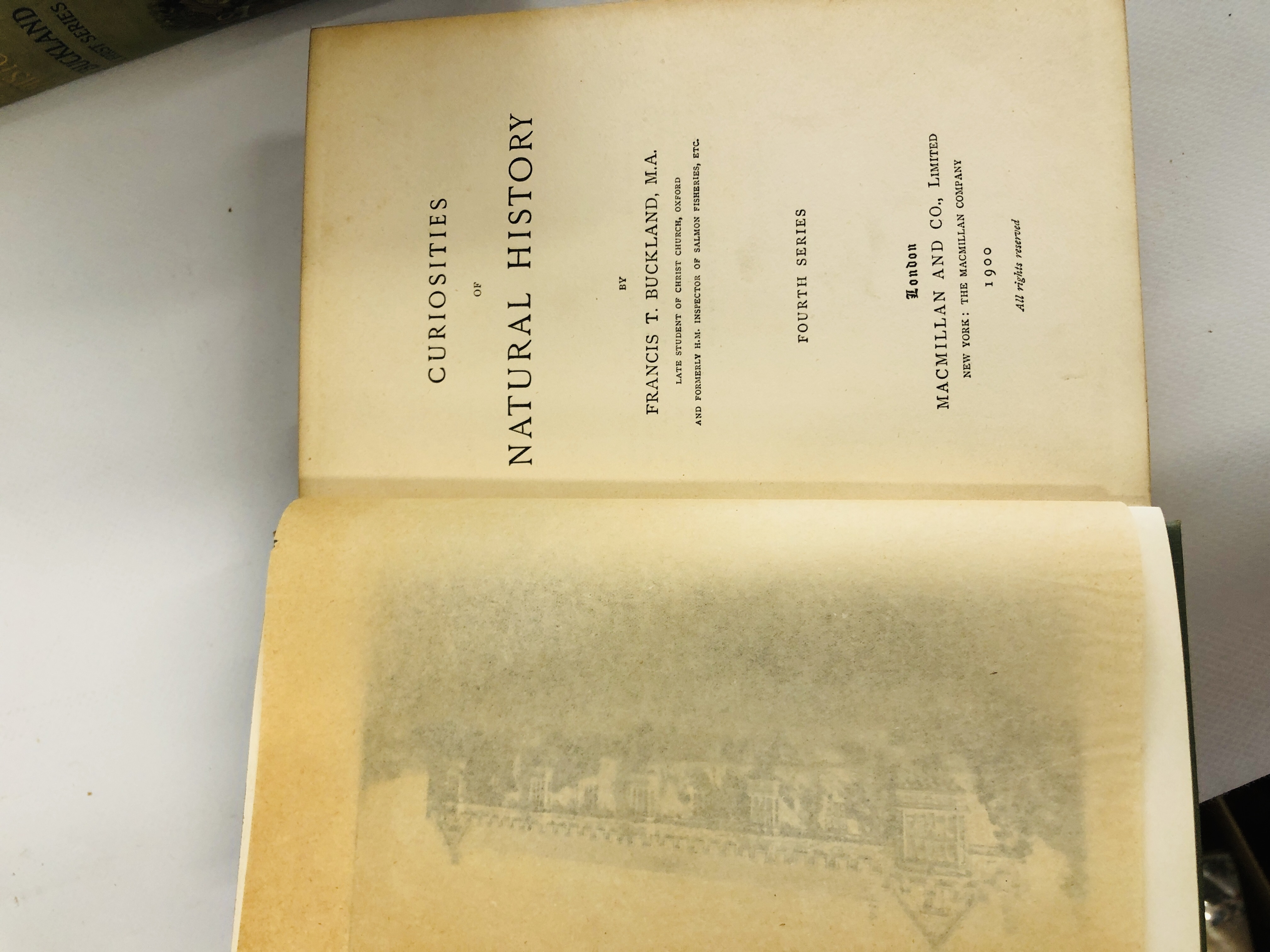 CURIOSITIES OF NATURAL HISTORY (FIRST, SECOND, THIRD AND FOURTH SERIES) BY F.T. BUCKLAND. - Image 7 of 11