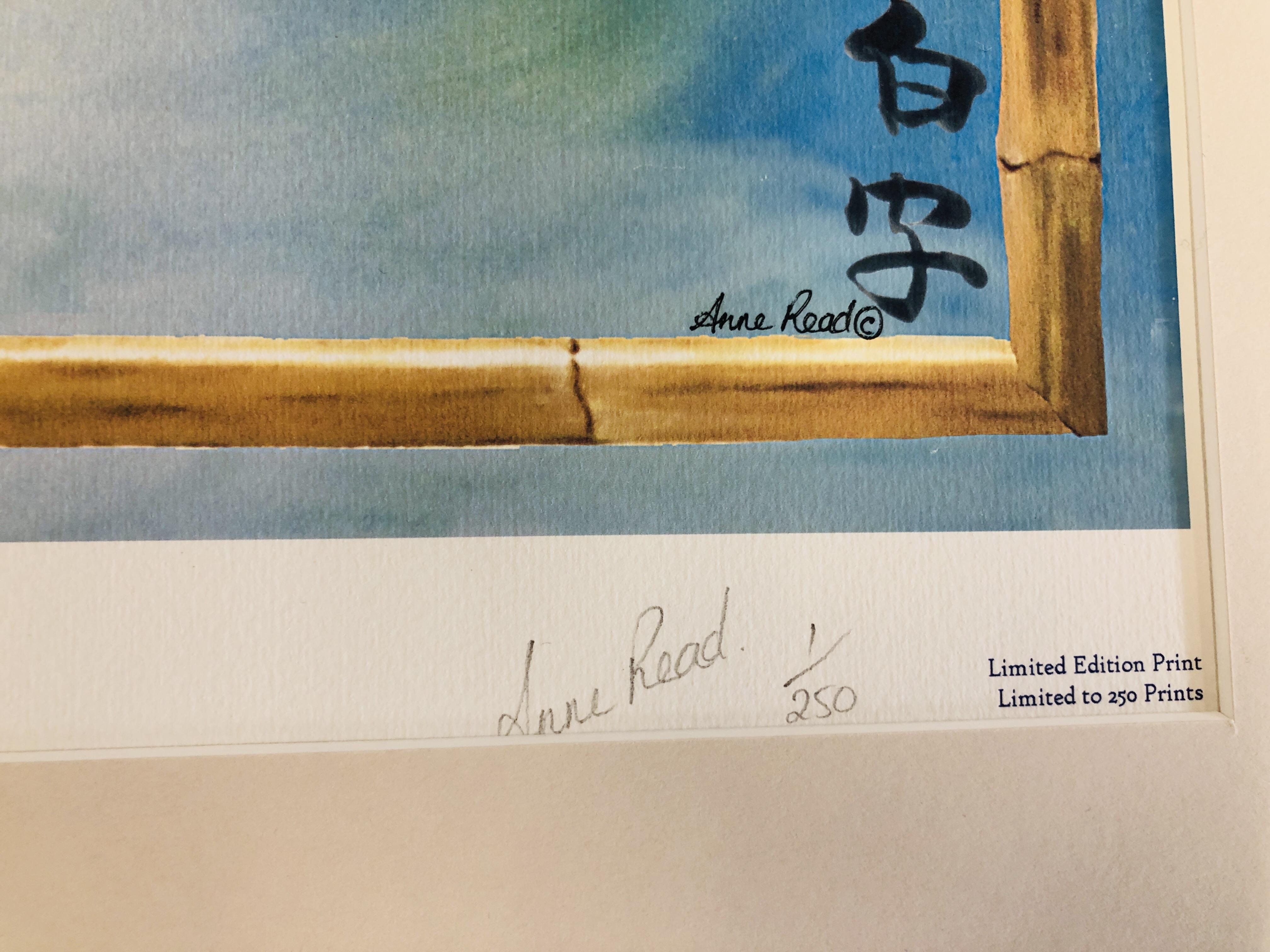 "THE TAISHO SANSHOKU AND THE SHIRO UTSURI" LIMITED EDITION PRINT 1/250 BEARING PENCIL SIGNATURE - Image 4 of 5