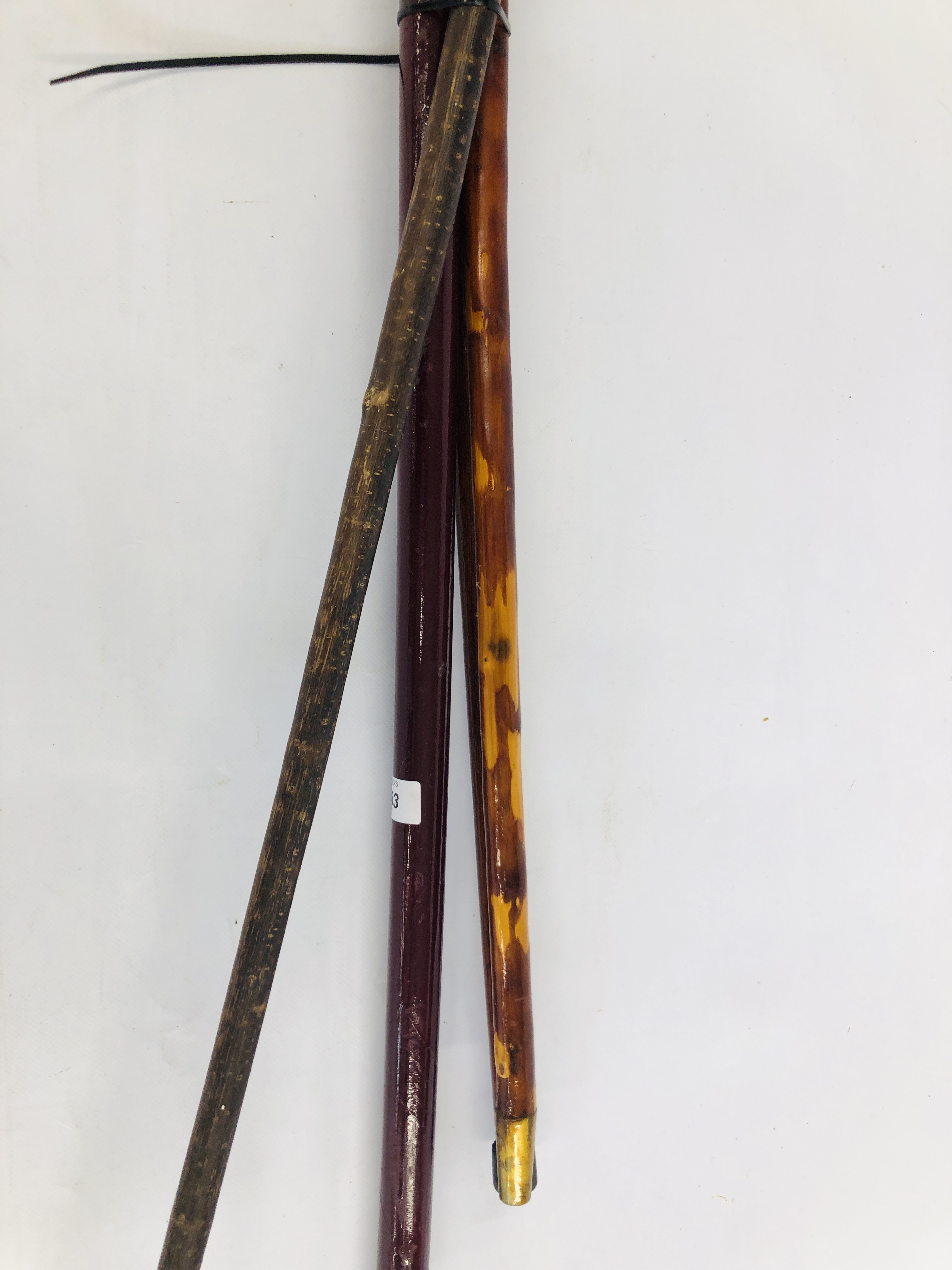 A GROUP OF 4 WALKING STICKS, ONE HAVING MOUSE TOP, HORN HANDLES AND OTHER HEAD ETC. - Image 6 of 7