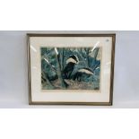 A FRAMED AND MOUNTED LIMITED EDITION 448/500 BADGER PRINT BEARING SIGNATURE "C.F.