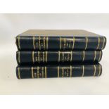 THREE VOLUMES 1-3 OF THE PERLUSTRATION OF GREAT YARMOUTH BY C.J. PALMER.