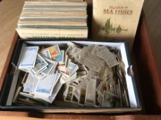WOODEN TRAY CIGARETTE CARDS STUCK IN PENNY ALBUMS, PARTIAL AND COMPLETE, ALSO LOOSE IN A SHOEBOX.