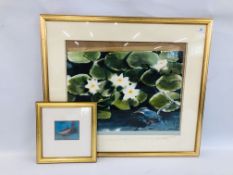 FRAMED AND MOUNTED PARADISE FISH BEARING SIGNATURE GM2K 12.5CM W 9.