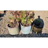 A GROUP OF ASSORTED GARDEN PLANTERS TO INCLUDE PAIR OF LARGE SALT GLAZED CYLINDRICAL PLANTERS,