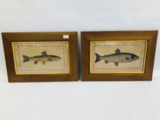 A PAIR OF FRAMED SALMON PRINTS (W 56CM X H 39CM INCLUDING FRAME).