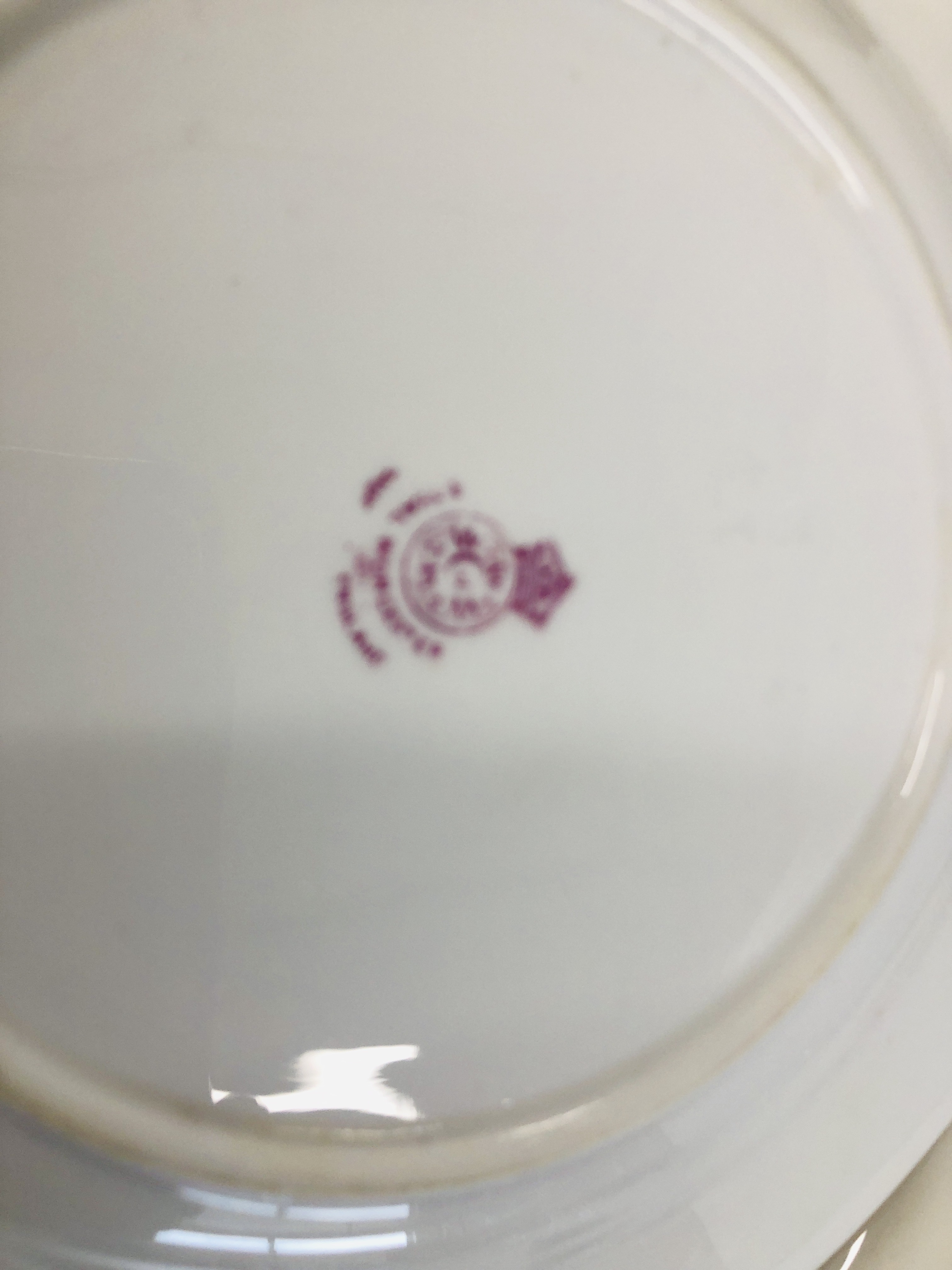 AN EXTENSIVE COLLECTION OF WHITE PORCELAIN AND CHINA DINNER PLATES TO INCLUDE ROYAL WORCESTER AND - Image 9 of 19