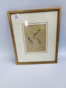 A FRAMED PENCIL BIRD SKETCH "BIRDS OF PARADISE" ATTRIBUTED TO ROLAND GREEN, 12CM X 17CM.