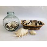 A BASKET CONTAINING A QUANTITY OF ASSORTED SHELLS ALONG WITH A CLEAR GLASS TERRARIUM.