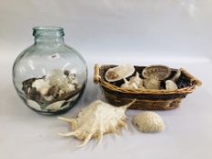 A BASKET CONTAINING A QUANTITY OF ASSORTED SHELLS ALONG WITH A CLEAR GLASS TERRARIUM.