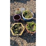 A GROUP OF EIGHT ASSORTED GLAZED GARDEN PLANTERS.