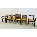 A SET OF 12 REPRODUCTION MAHOGANY ROPEBACK GEORGIAN STYLE DINING CHAIRS (10 SIDE,