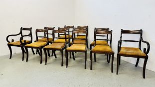 A SET OF 12 REPRODUCTION MAHOGANY ROPEBACK GEORGIAN STYLE DINING CHAIRS (10 SIDE,