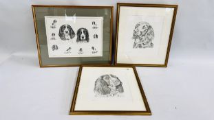 A GROUP OF THREE PENCIL SKETCHES DEPICTING "SPANIELS",