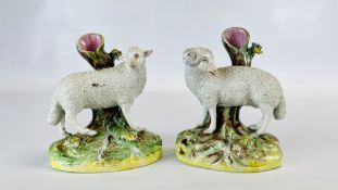 A PAIR OF C19TH STAFFORDSHIRE MODELS OF SHEEP, 13CM HIGH.