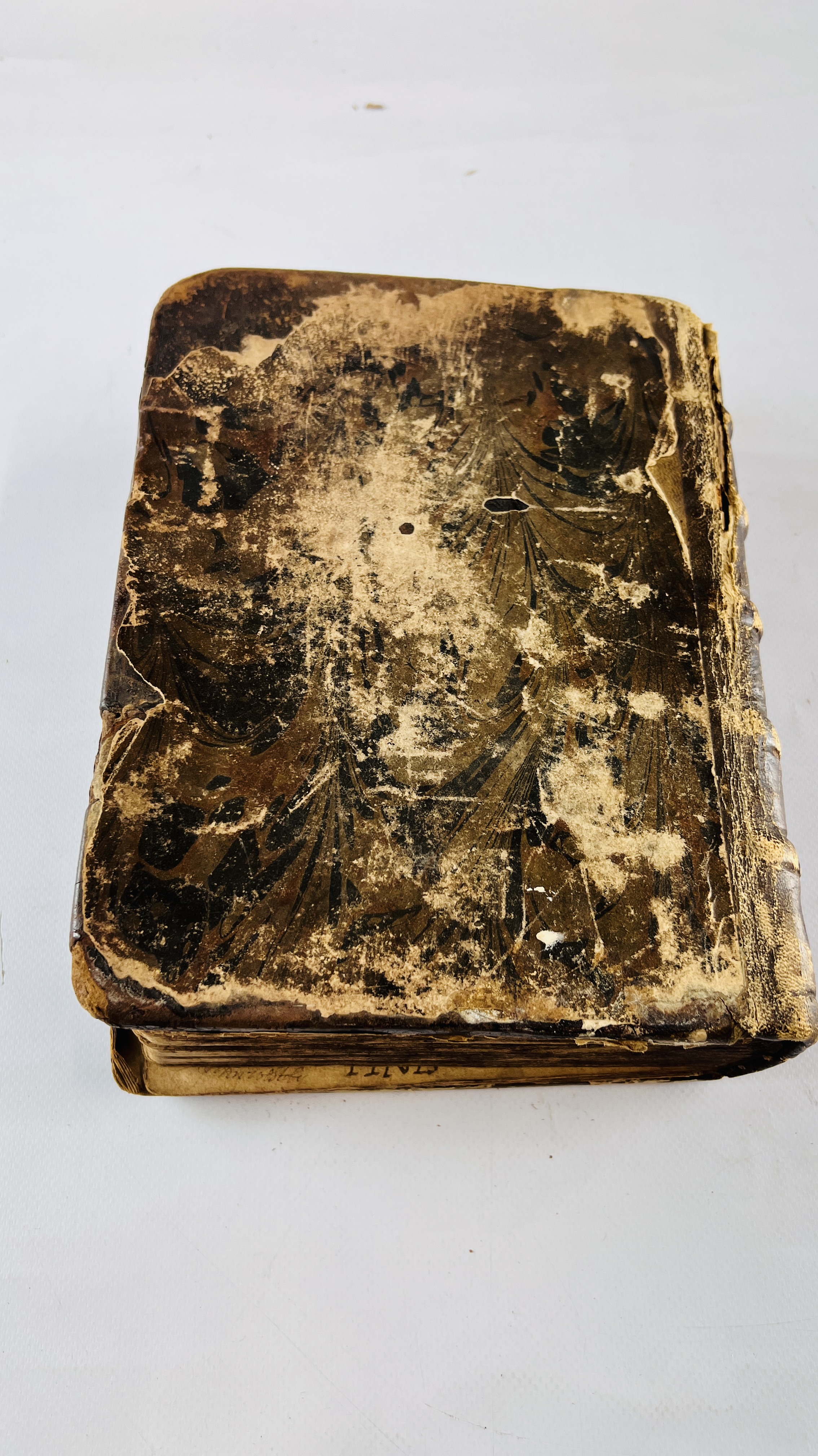 A rare copy of the Geneva Bible, often called Breeches Bible, 1599, - Image 19 of 20