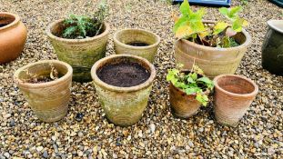 COLLECTION OF 7 TERRACOTTA GARDEN PLANTERS TO INCLUDE 6 OF MATCHING DESIGN INCLUDING GRADUATED,