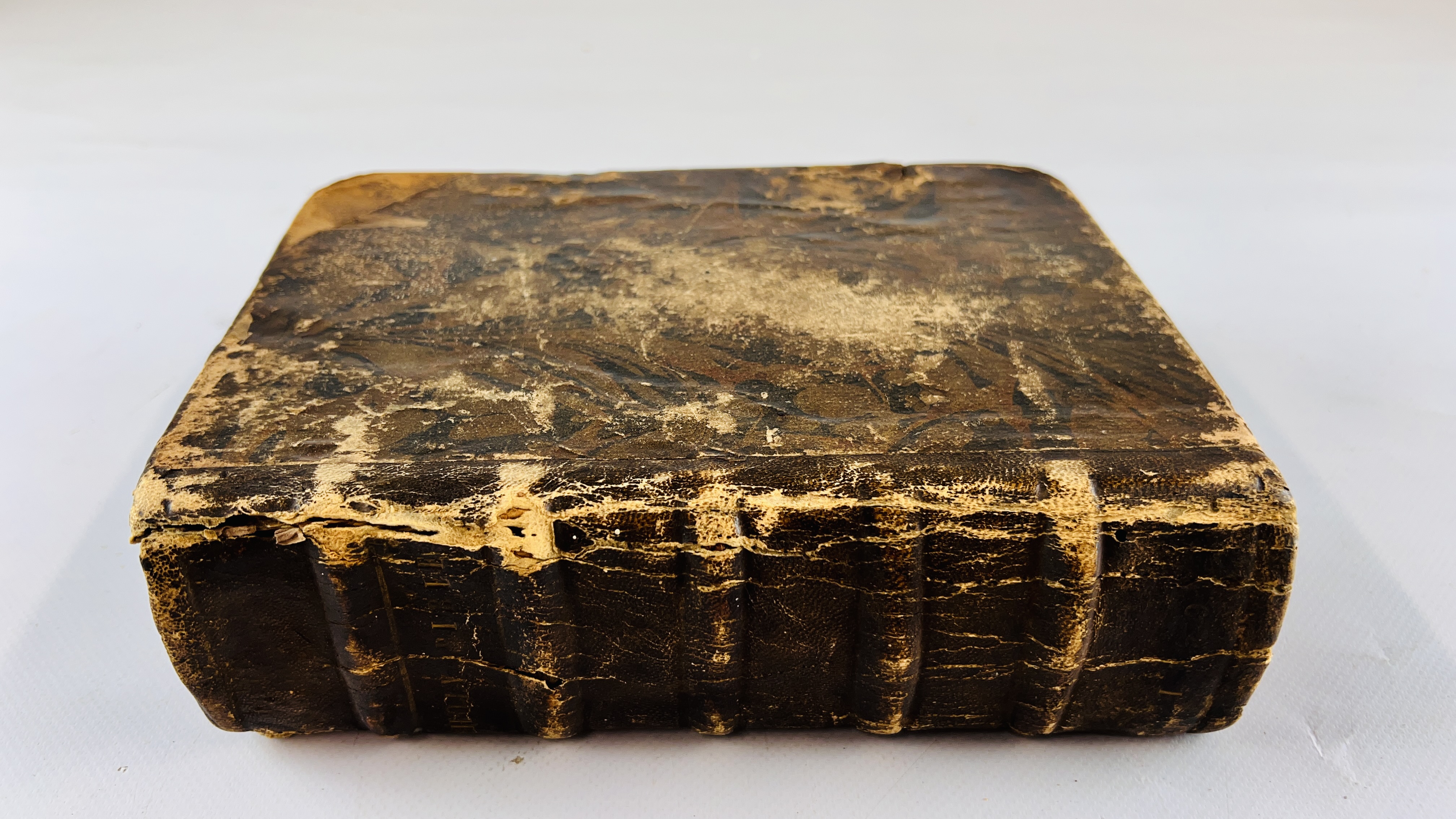 A rare copy of the Geneva Bible, often called Breeches Bible, 1599, - Image 20 of 20