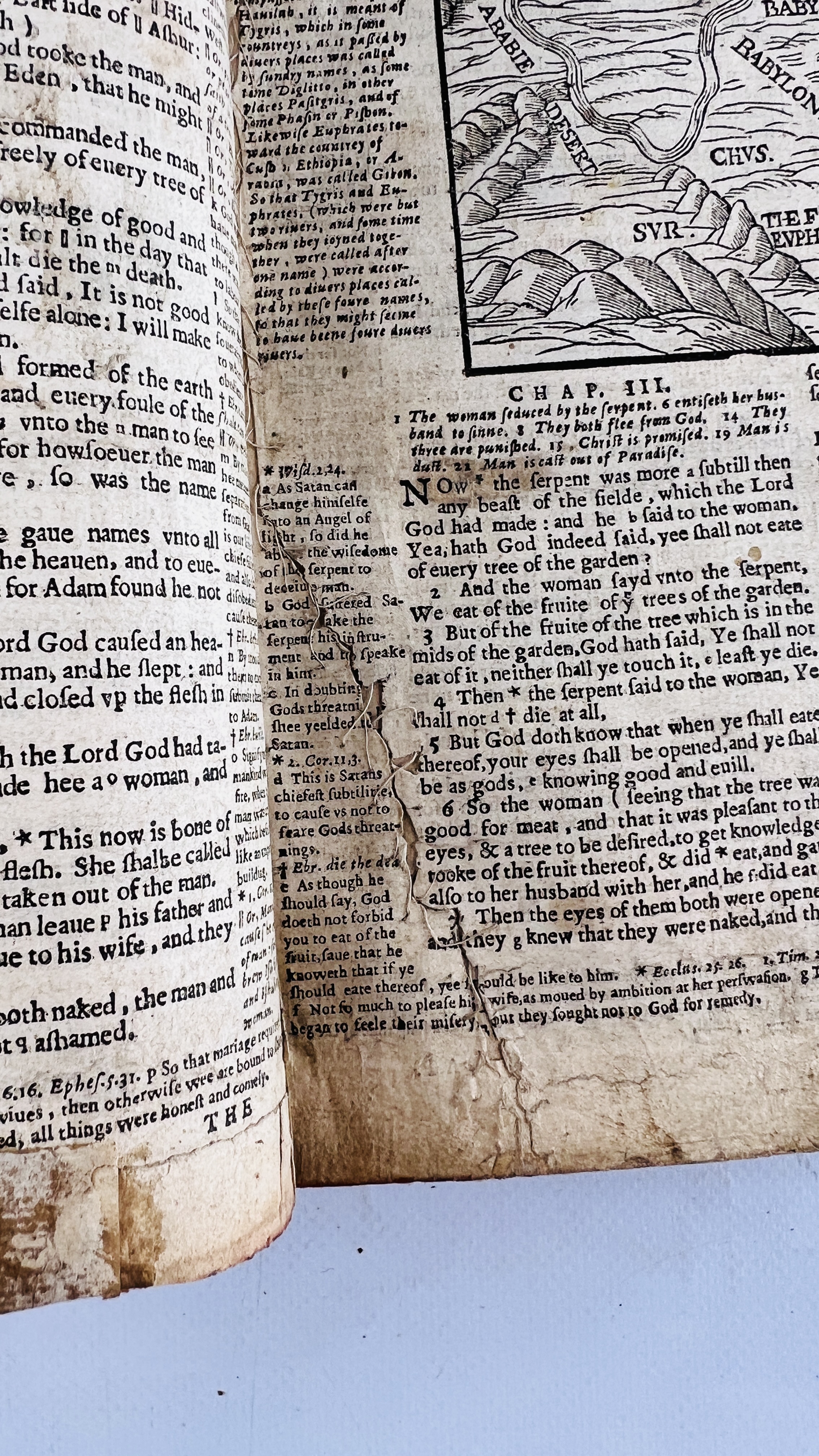 A rare copy of the Geneva Bible, often called Breeches Bible, 1599, - Image 10 of 20