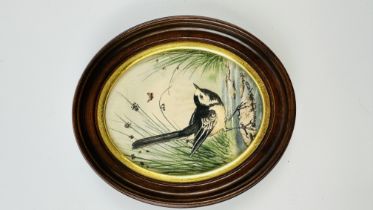 AN ORIGINAL OVAL FRAMED WATERCOLOUR DEPICTING A "PIED WAGTAIL" BEARING SIGNATURE GIBBARD DATED 1980