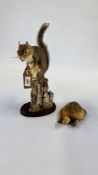 A TAXIDERMY STUDY OF A SQUIRREL EATING A NUT AND A TORTOISE.