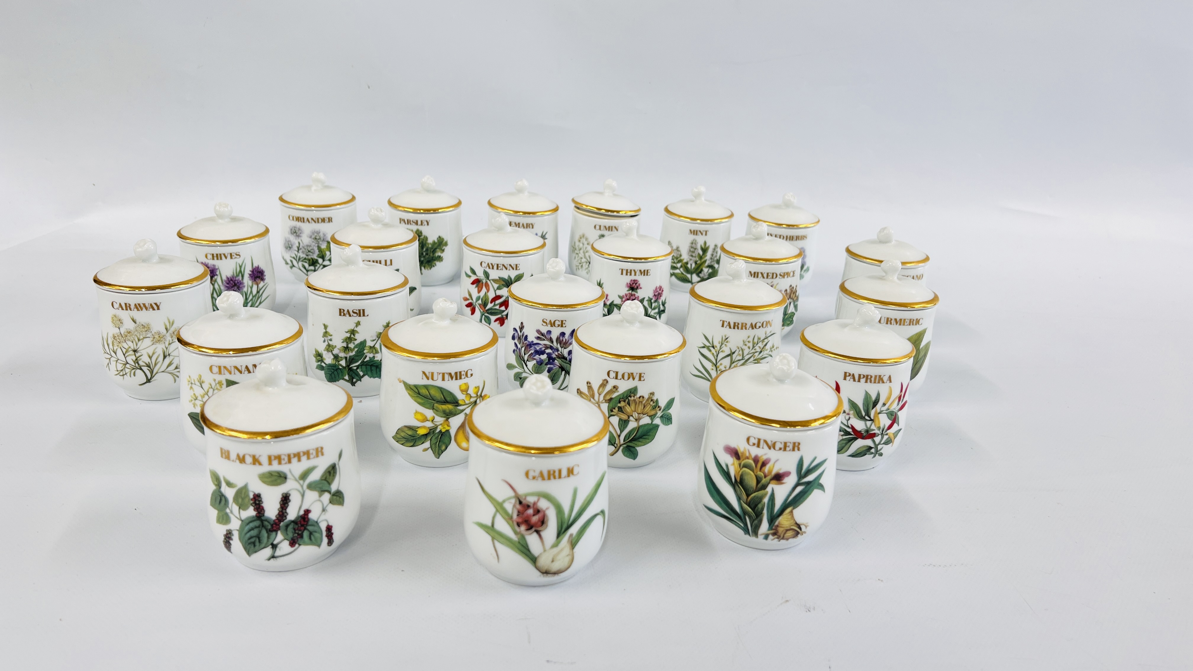 A COLLECTION OF 24 ROYAL WORCESTER COMPTON AND WOODHOUSE COLLECTION HERBS AND SPICES JARS.