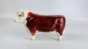 A BESWICK HEREFORD COW STUDY "CA OF CHAMPIONS" L 19CM X H 11CM.