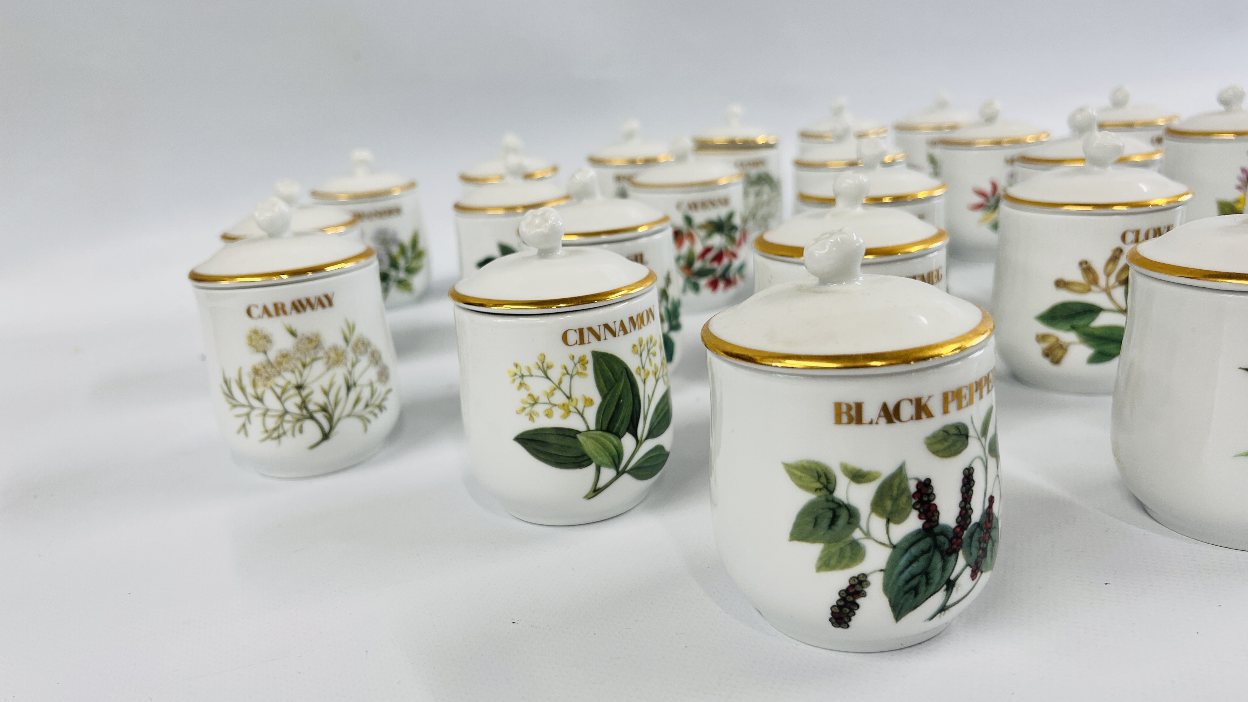 A COLLECTION OF 24 ROYAL WORCESTER COMPTON AND WOODHOUSE COLLECTION HERBS AND SPICES JARS. - Image 2 of 8