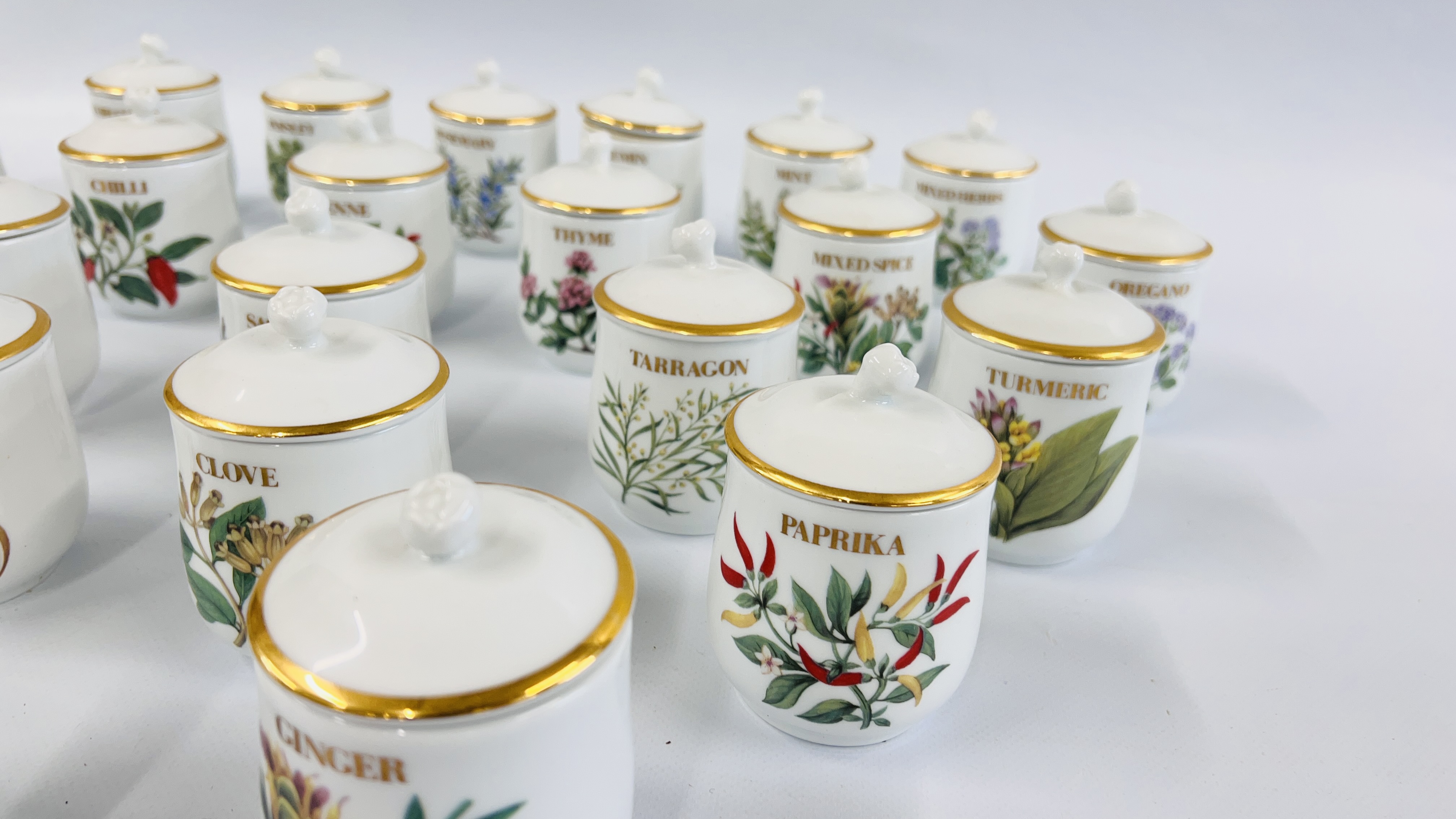 A COLLECTION OF 24 ROYAL WORCESTER COMPTON AND WOODHOUSE COLLECTION HERBS AND SPICES JARS. - Image 4 of 8