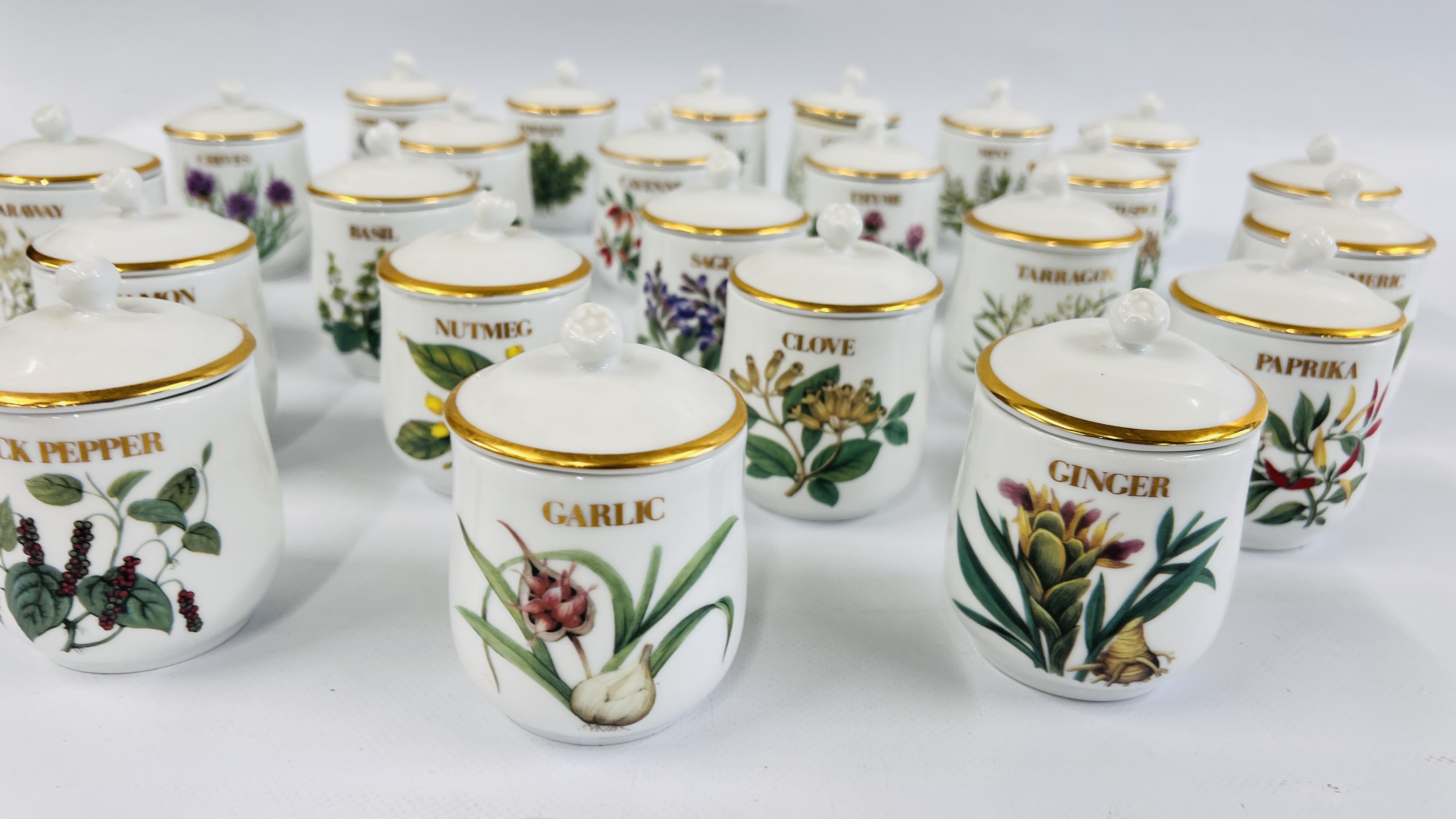 A COLLECTION OF 24 ROYAL WORCESTER COMPTON AND WOODHOUSE COLLECTION HERBS AND SPICES JARS. - Image 3 of 8