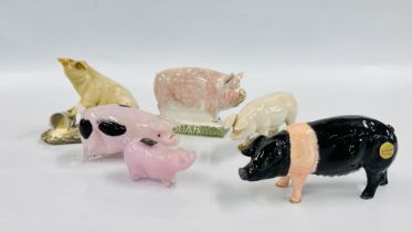 A GROUP OF COLLECTORS PIG ORNAMENTS TO INCLUDE A BESWICK EXAMPLE AND 2 LANGHAM GLASS ETC.