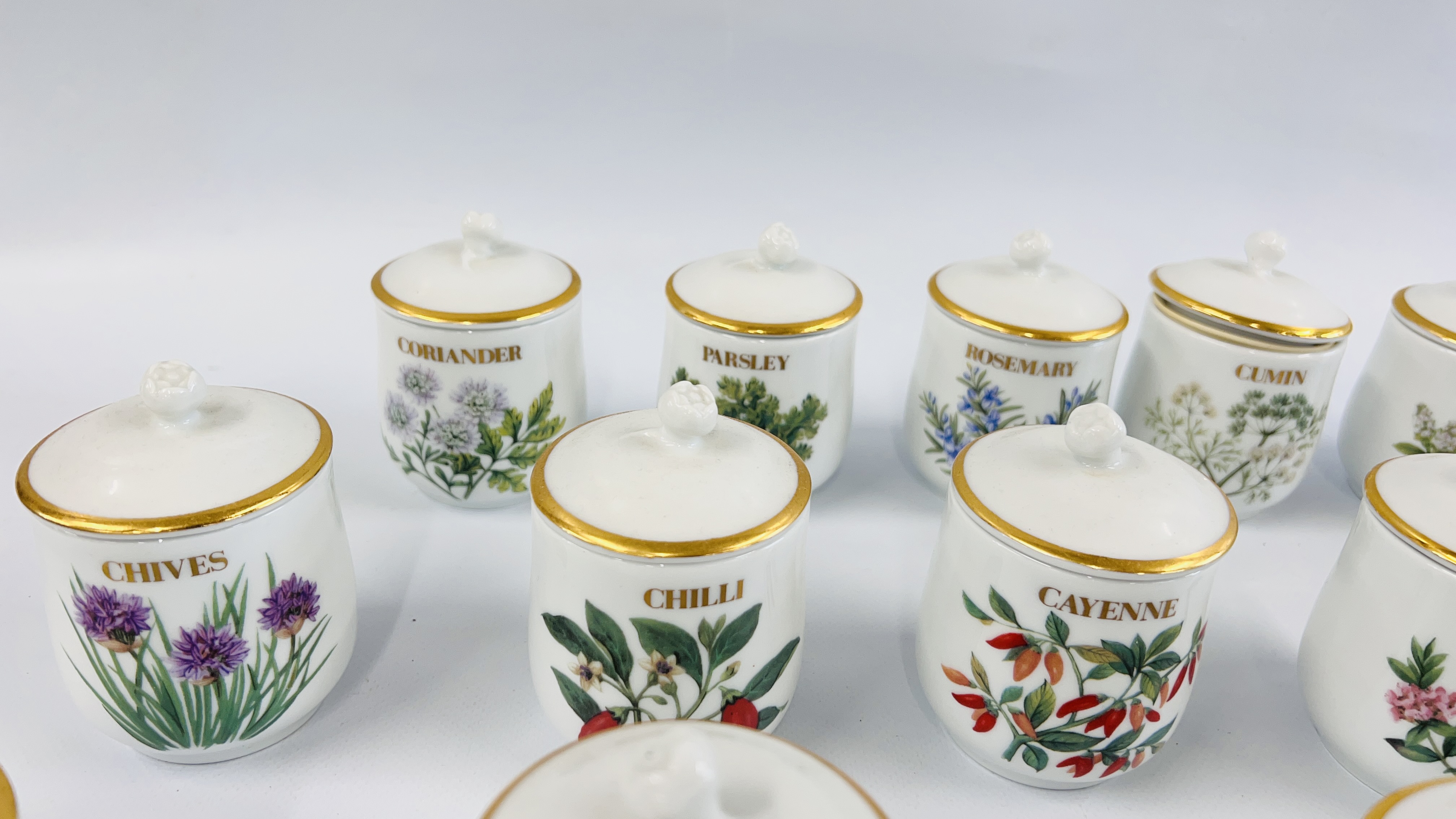 A COLLECTION OF 24 ROYAL WORCESTER COMPTON AND WOODHOUSE COLLECTION HERBS AND SPICES JARS. - Image 6 of 8