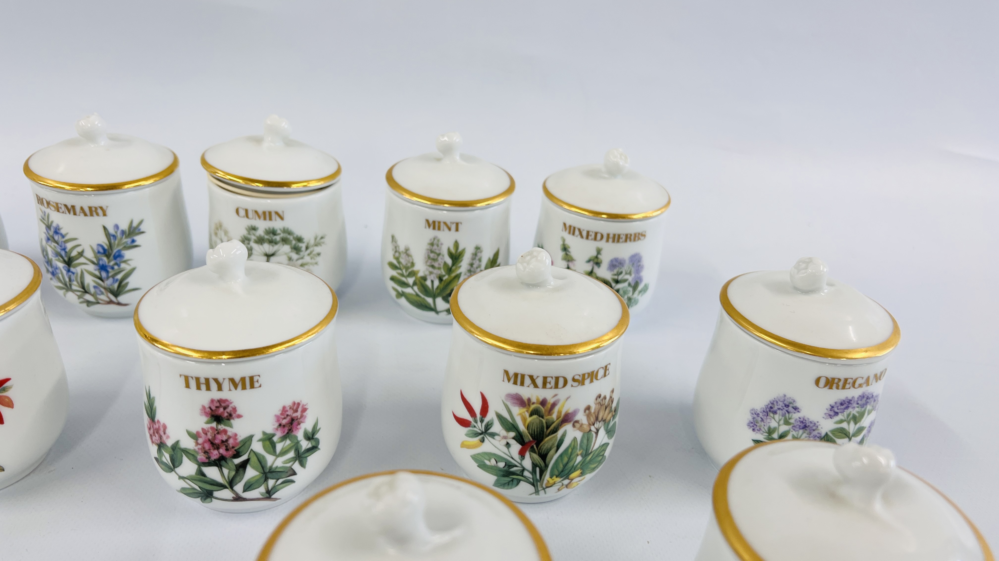 A COLLECTION OF 24 ROYAL WORCESTER COMPTON AND WOODHOUSE COLLECTION HERBS AND SPICES JARS. - Image 5 of 8