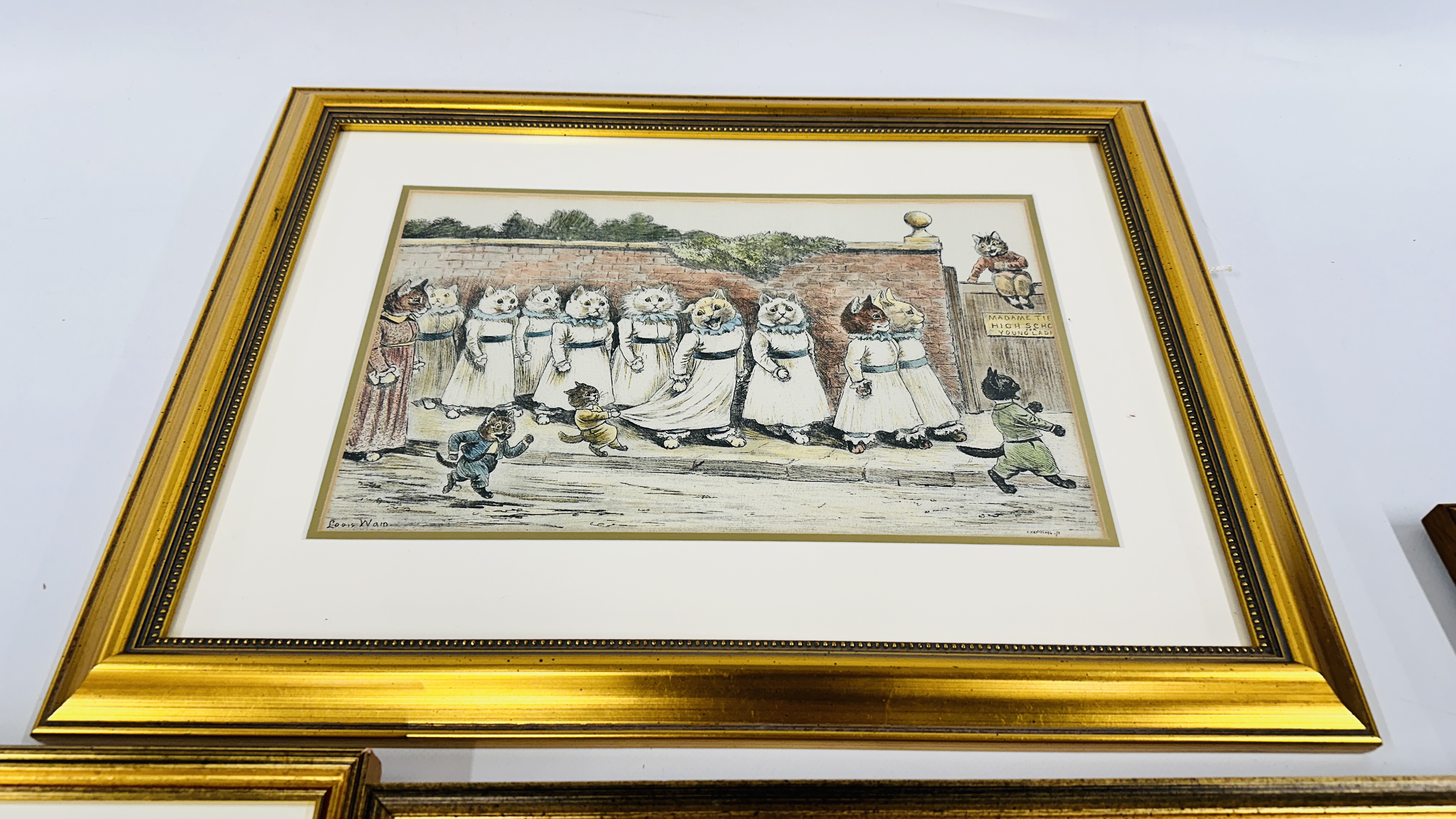 A GROUP OF 9 FRAMED CAT PRINTS TO INCLUDE 6 REPRODUCTION LOUIS WAIN EXAMPLES ETC. - Image 6 of 6