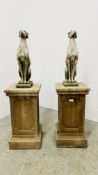 A PAIR OF IMPRESSIVE STONEWORK EFFECT SEATED GREYHOUND FIGURES ON SQUARE PEDESTAL BASES - HEIGHT