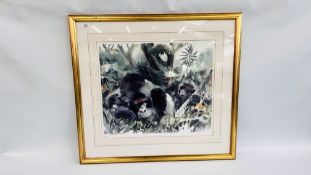 A FRAMED AND MOUNTED LIMITED EDITION PRINT "MOUNTAIN GORILLAS" BY WOLFGANG WEBBER PRINT NO.
