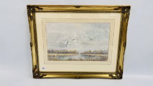 FRAMED AND MOUNTED WATERCOLOUR SWANS IN A BROADLAND SCENE BEARING SIGNATURE POLLY WISCAS W 46CM X H