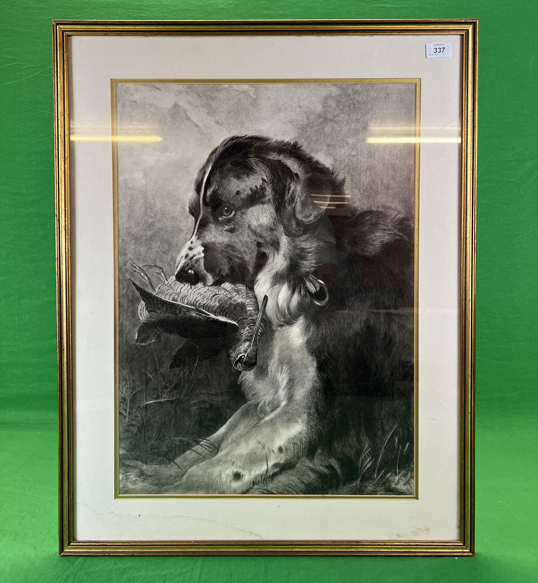 AN ORIGINAL FRAMED CHARCOAL PICTURE DEPICTING A GUN DOG HOLDING A WOODCOCK,