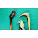THREE WALKING CANES WITH HAND CARVED KINGFISHER FINIALS (ONE BEAK A/F) - NO POSTAGE OR PACKING