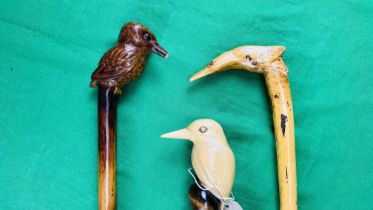 THREE WALKING CANES WITH HAND CARVED KINGFISHER FINIALS (ONE BEAK A/F) - NO POSTAGE OR PACKING