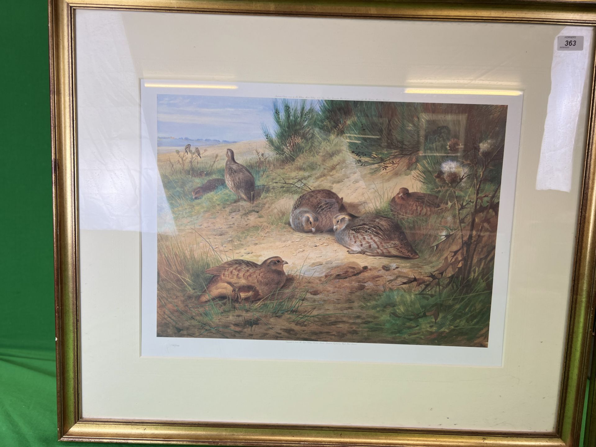 TWO ARCHIBOLD THORBURN LIMITED EDITION FRAMED PRINTS TO INCLUDE FRENCH PARTRIDGE IN A HEATHLAND - Image 5 of 6